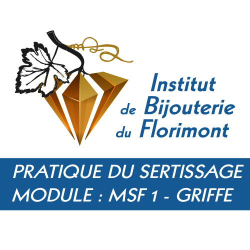 Institut de Bijouterie du Florimont sertis msf1 griffe