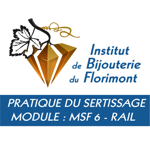 Institut de bijouterie du Florimont sertis msf6 rail